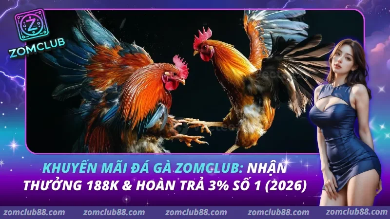 Khuyến Mãi Đá Gà Zomclub: Nhận Thưởng 188K & Hoàn Trả 3% Số 1 (2026) 3 Khuyến mãi đá gà Zomclub
