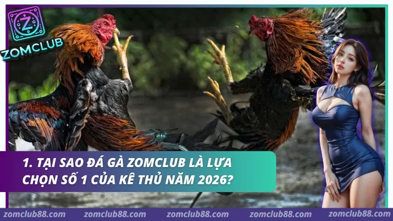 Kinh nghiệm đá gà Zomclub qua cách quan sát chiến kê Meron Wala BDD và trạng thái trận