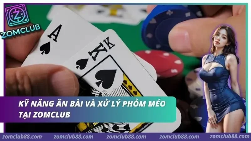 Vận dụng kỹ thuật ăn bài để tạo bộ khung chắc chắn trong Phỏm