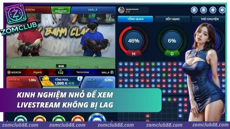 Kiểm tra mạng thiết bị trình duyệt và ứng dụng để xem livestream đá gà Thomo ZomClub ổn định hơn